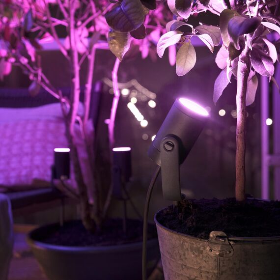 Philips Hue White & Color Ambiance Lily Gartenspot Standard Set mit 40W Netzteil (590 lm), dimmbare Außenleuchte mit 16 Millionen Farben, smarte Lichtsteuerung über Sprache oder App, schwarz