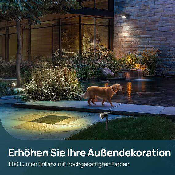 Linkind 60-Led Solarlampen für außen 800Lm, Ultra-lange Leuchtdauer, Warmweiß Solar Gartenbeleuchtung mit intelligentem Entladealgorithmus, IP67 Solar Spots für Einfahrt, Vorgarten, 6 Stück