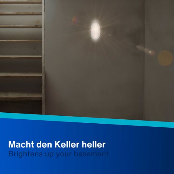 REV Kellerlampe - Feuchtraumleuchte LED oval (10W, 800lm, IP44), einsetzbar als Decken- oder Wandlampe, Feuchtraumlampe, grau