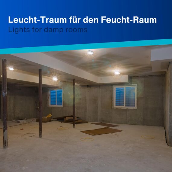 REV Kellerlampe - Feuchtraumleuchte LED oval (5,5W, 450lm, IP44), einsetzbar als Decken- oder Wandlampe, Feuchtraumlampe, grau