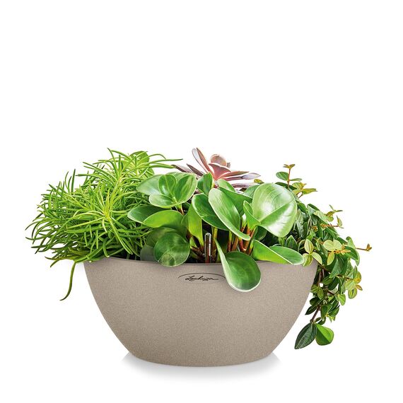 Lechuza CUBETO Color 40 Komplettset sandbeige