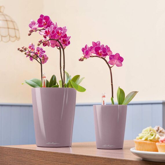 Lechuza DELTINI anthrazit metallic 14903 (Packung mit 2)