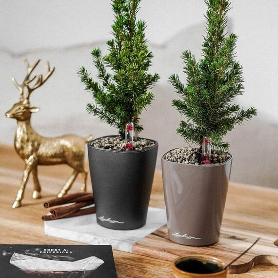 Lechuza Deltini - Komplettset Taupe Hochglanz