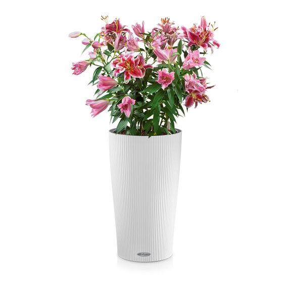 Lechuza 13950 Planter, Weiß, 32x32x56 cm
