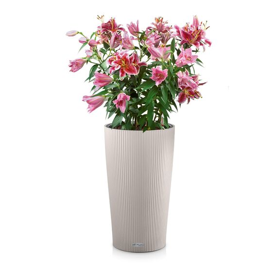 LECHUZA CILINDRO Color 32 sandbraun 13956