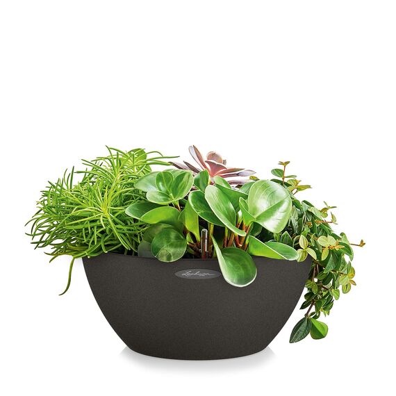 Lechuza CUBETO Color 40 Komplettset graphitschwarz