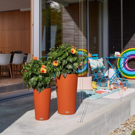 LECHUZA CILINDRO Color 23 hochwertiges Pflanzgefäß mit Erd-Bewässerungs-System, sunset orange, 23x23x41 cm