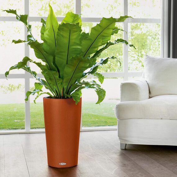 LECHUZA CILINDRO Color 23 hochwertiges Pflanzgefäß mit Erd-Bewässerungs-System, sunset orange, 23x23x41 cm