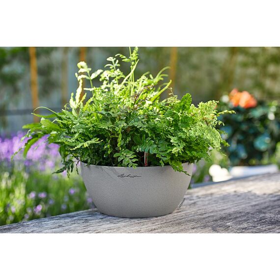 Lechuza CUBETO Color 30 Komplettset steingrau