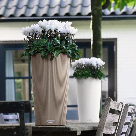 LECHUZA CILINDRO Color 32 sandbraun 13956