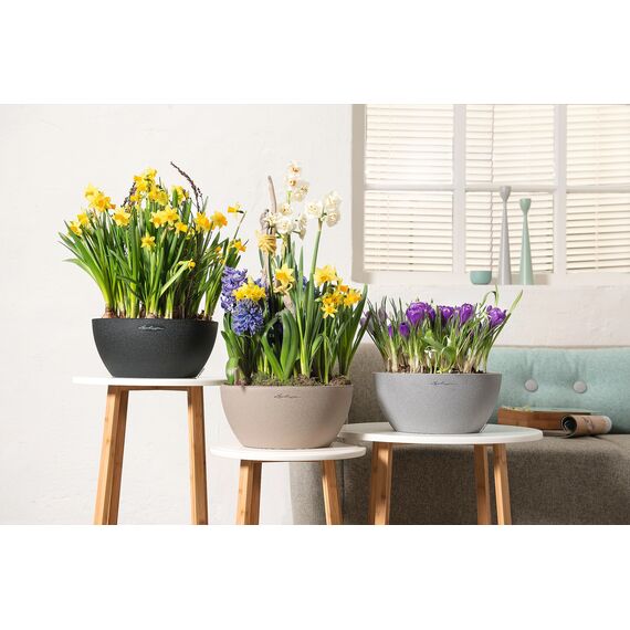 Lechuza CUBETO Color 30 Komplettset sandbeige