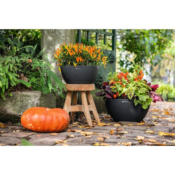 Lechuza CUBETO Color 40 Komplettset graphitschwarz