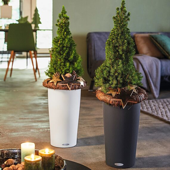 LECHUZA CILINDRO Color 23 schiefergrau 13943