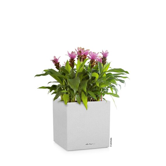 Lechuza Canto Stone 40 Low Komplettset quarzweiß