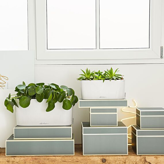 Lechuza Delta 10 - All-in-One-Set weiß