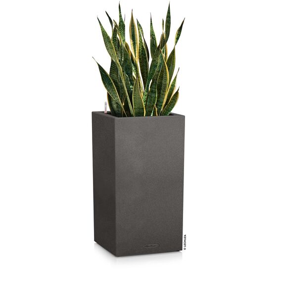 Lechuza Komplett-Set f??r Garten, Schwarz, 40 x 40 x 76 cm, 13622