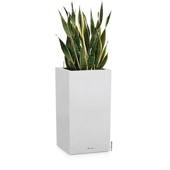 Lechuza Canto Stone 40 high Komplettset quarzweiß