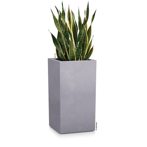 Lechuza Canto Color Säule 40 Komplettset steingrau