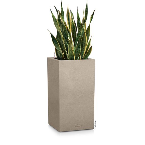 Lechuza Canto Color (30x30x56cm) Komplettset sandbeige