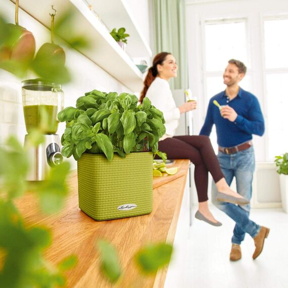 LECHUZA CUBE Color 16 schiefergrau 13584