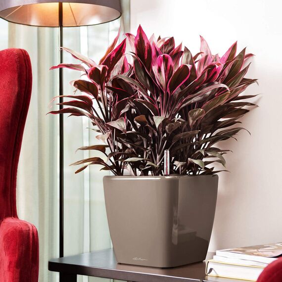 LECHUZA QUADRO Premium LS 28 schwarz hochglanz 16149