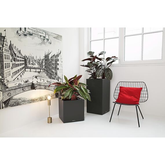 Lechuza Canto Color (30x30x30cm) Komplettset graphitschwarz