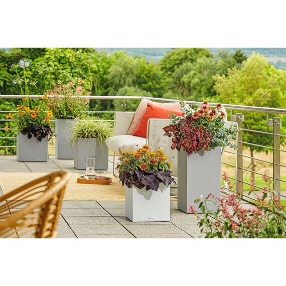 Lechuza Canto Color (30x30x56cm) Komplettset steingrau