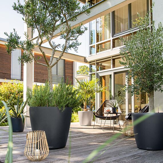 LECHUZA CLASSICO Color 60 schiefergrau 13334