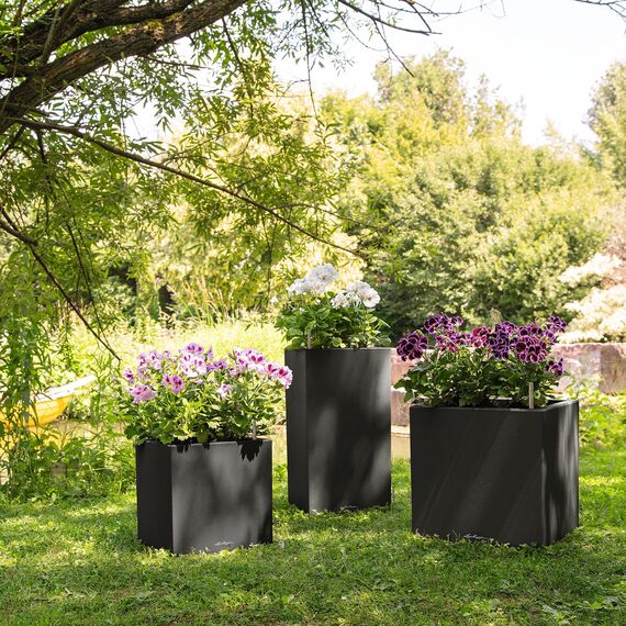 Lechuza Canto Color (30x30x30cm) Komplettset graphitschwarz