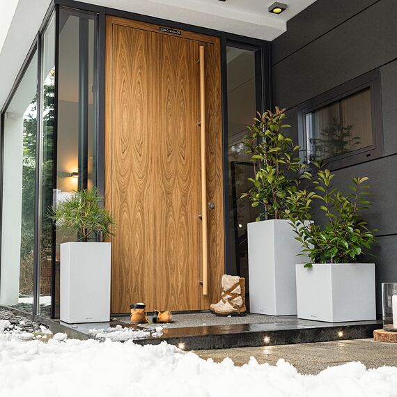 Lechuza Canto Color Säule 40 Komplettset steingrau