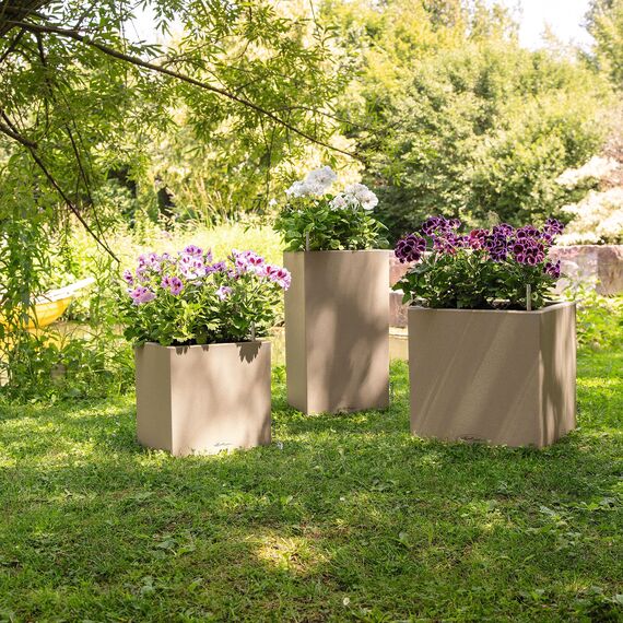 Lechuza Canto Color (30x30x30cm) Komplettset sandbeige