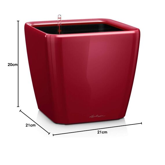 Lechuza Quadro Premium 21 LS - Komplettset Scarlet Rot