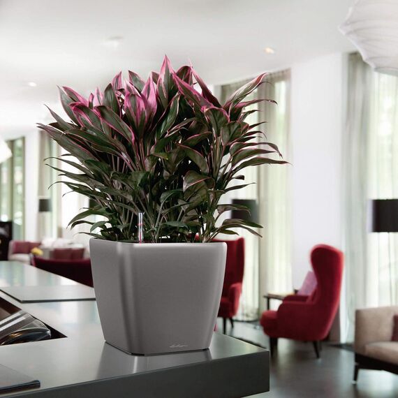 Lechuza QUADRO Premium 28 LS