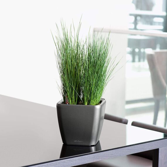 LECHUZA QUADRO Premium LS 21 silber metallic 16128