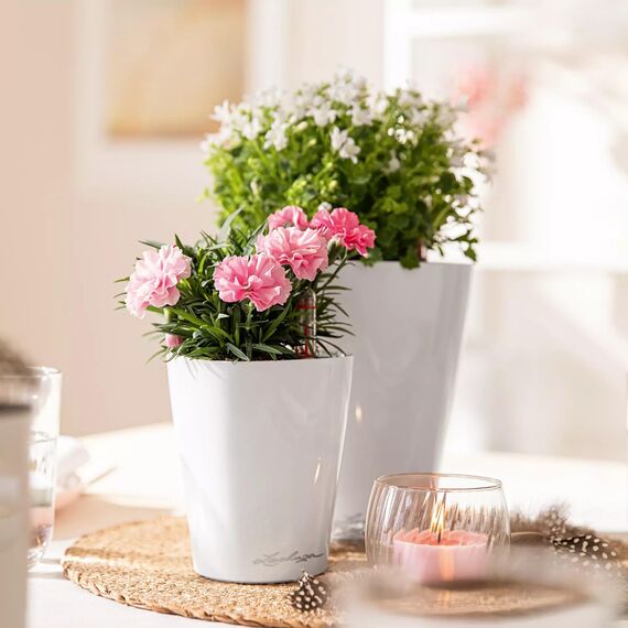 Lechuza MINI-DELTINI Komplettset weiß