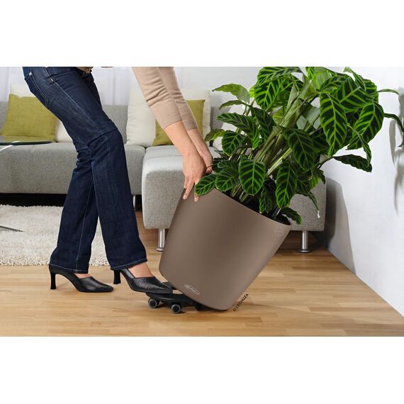 LECHUZA CLASSICO Color 43 sandbraun 13245