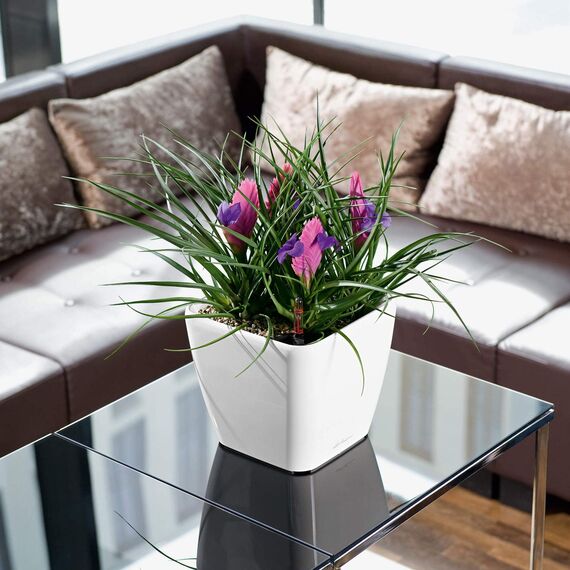 LECHUZA QUADRO Premium LS 21 taupe hochglanz 16125