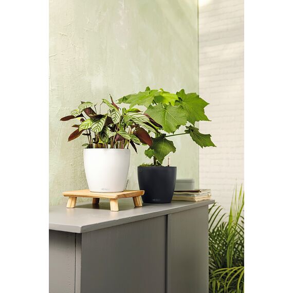 LECHUZA CLASSICO Color 18 schiefergrau 13263