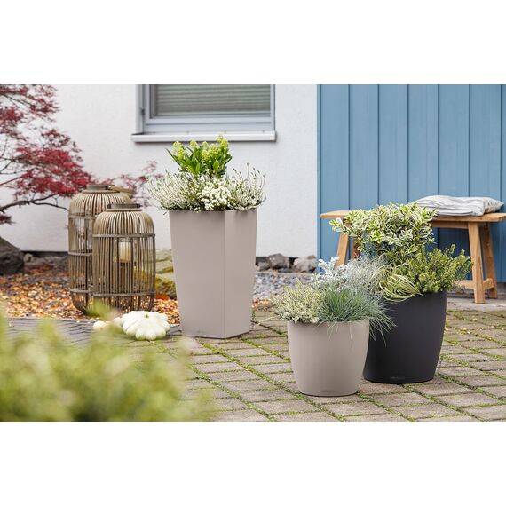 LECHUZA CLASSICO Color 28 sandbraun 13193