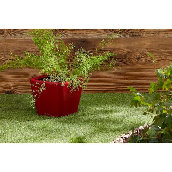 Lechuza Quadro Premium 21 LS - Komplettset Scarlet Rot