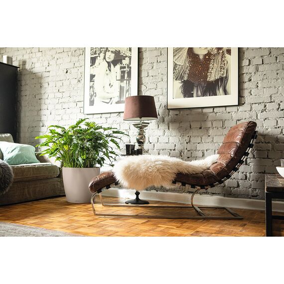 LECHUZA CLASSICO Color 43 sandbraun 13245