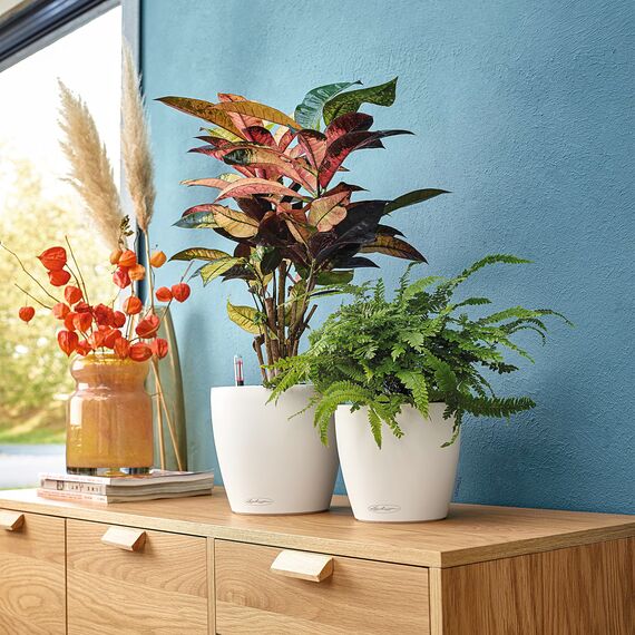 LECHUZA CLASSICO Color 21 weiß 13170, 22x22x20 cm