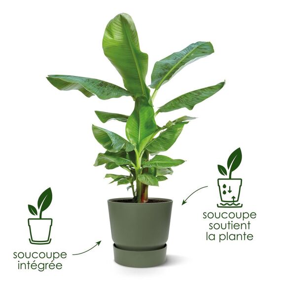 elho Greenville Rund 30 - Blumentopf für Innen und Außen - Selbstbewässerungstopf - 100% recyceltes Plastik - Ø 29.5 x H 27.8 cm - Lila/Vintage Pflaume