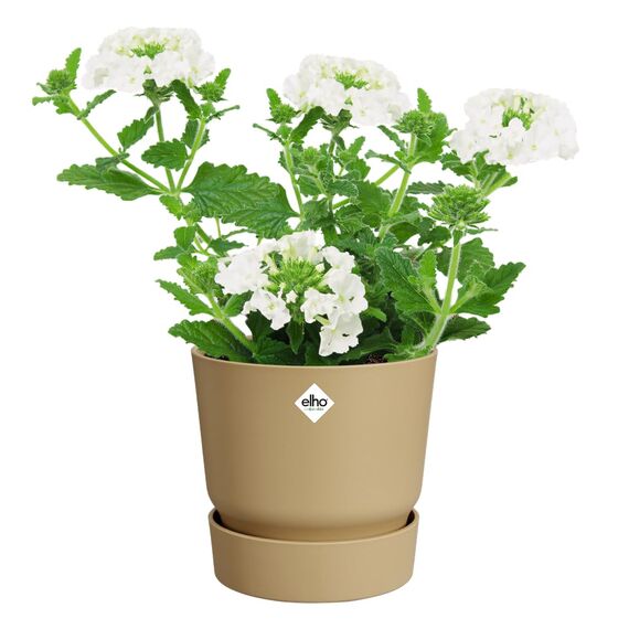elho Greenville Rund 14 - Blumentopf für Innen und Außen - Selbstbewässerungstopf - 100% recyceltes Plastik - Ø 14.0 x H 13.4 cm - Beige/Goldener Sand