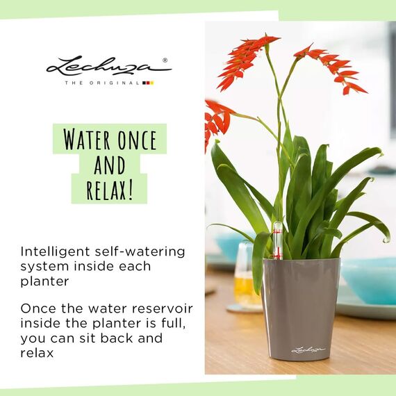 Lechuza MINI-DELTINI Komplettset weiß