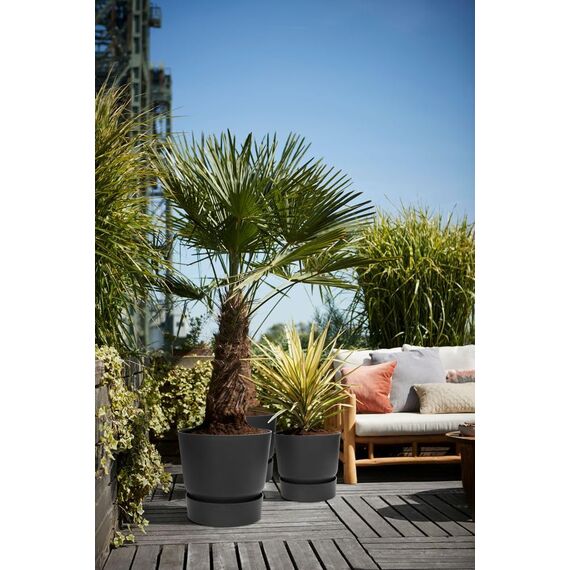 elho Greenville Rund 40 - Blumentopf für Innen und Außen - Selbstbewässerungstopf - 100% recyceltes Plastik - Ø 39.0 x H 36.8 cm - Schwarz/Living Schwarz