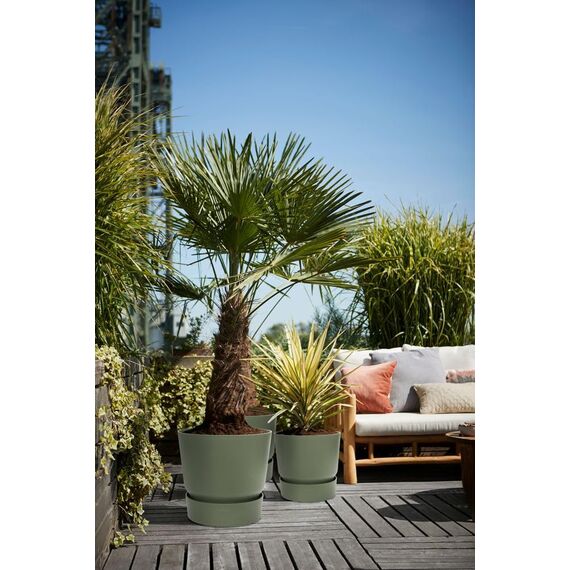 elho Greenville Rund 47 - Blumentopf für Innen und Außen - Selbstbewässerungstopf - 100% recyceltes Plastik - Ø 47.0 x H 44.0 cm - Grün/Leaf Green