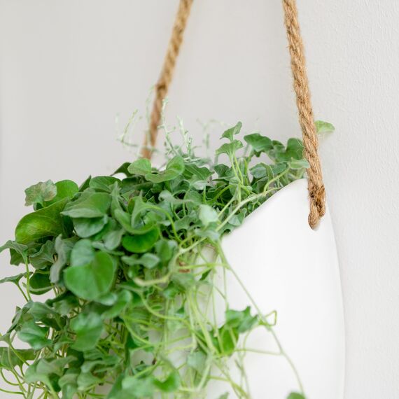 Kazai. Wandvasen -Ellie- | Hängende Keramik-Blumentöpfe 2-teilig | Wand-Deko für Zimmer, Balkon und Garten | Weiss (matt)