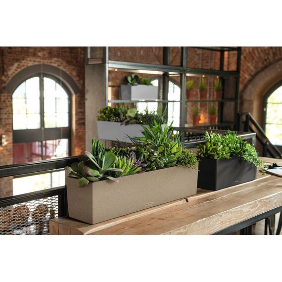 Lechuza BALCONERA Stone 80 Komplettset sandbeige