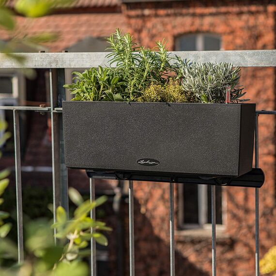 Lechuza BALCONERA Stone 50 graphitschwarz 15652 (Packung mit 3)